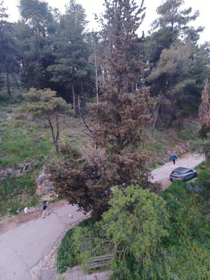 Ένα Μέρος Για Ήσυχες Διακοπές Apartment Ioannina Luaran gambar
